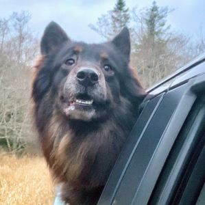 Meet your Posher, Cameron